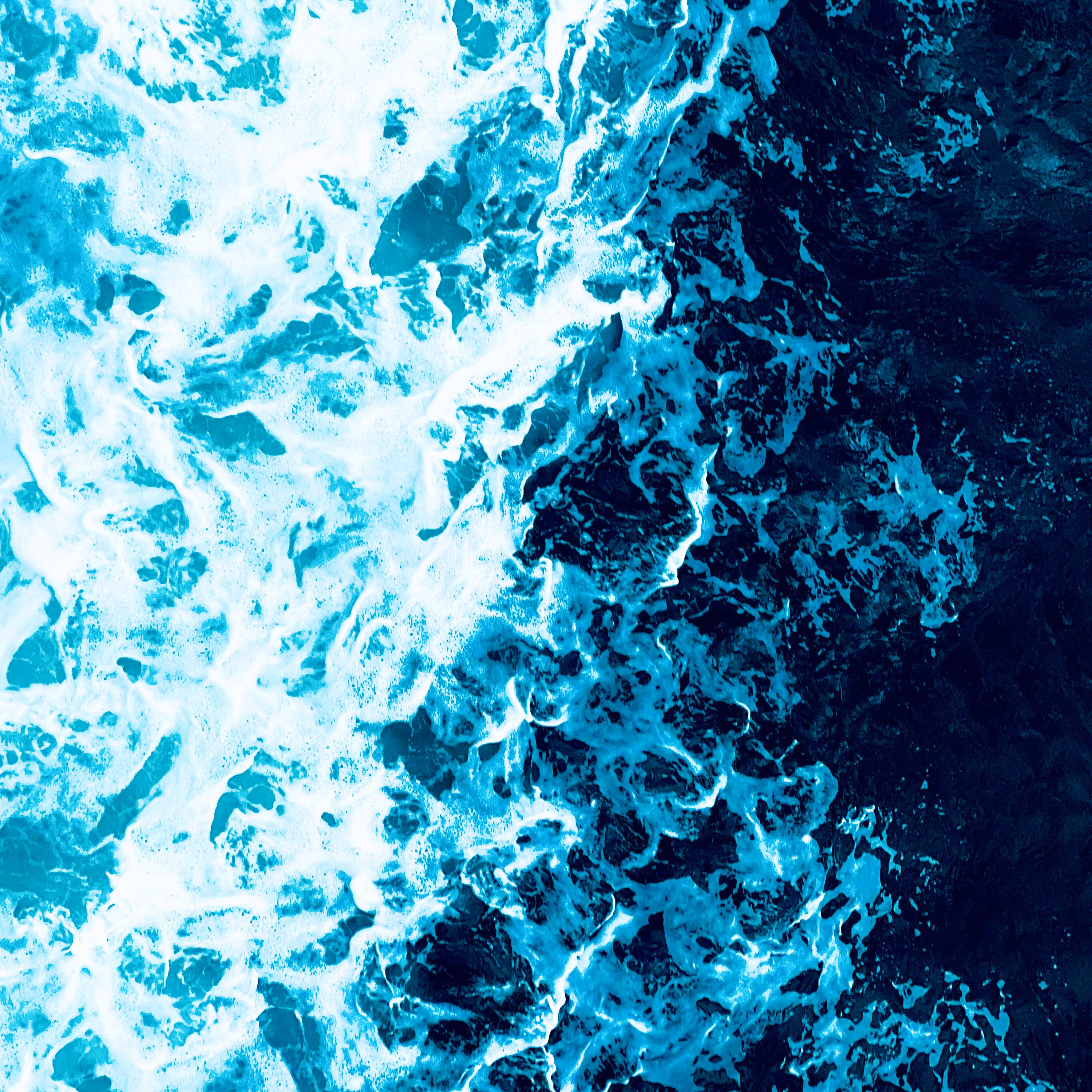 Javanti Chauhan - Allos