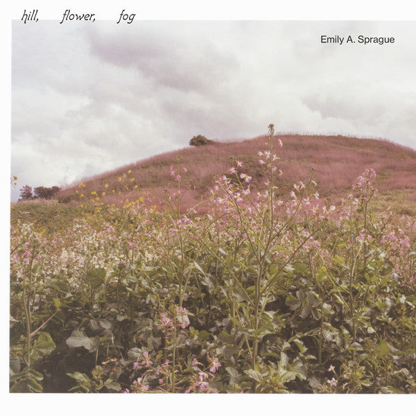 Emily Sprague - Hill, Flower, Fog | Buy the Vinyl LP from Flying Nun Records