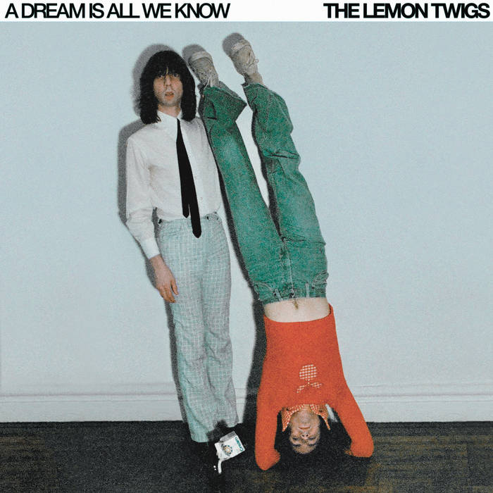 The Lemon Twigs — A Dream Is All We Know | Buy the Vinyl LP from Flying Nun Records 