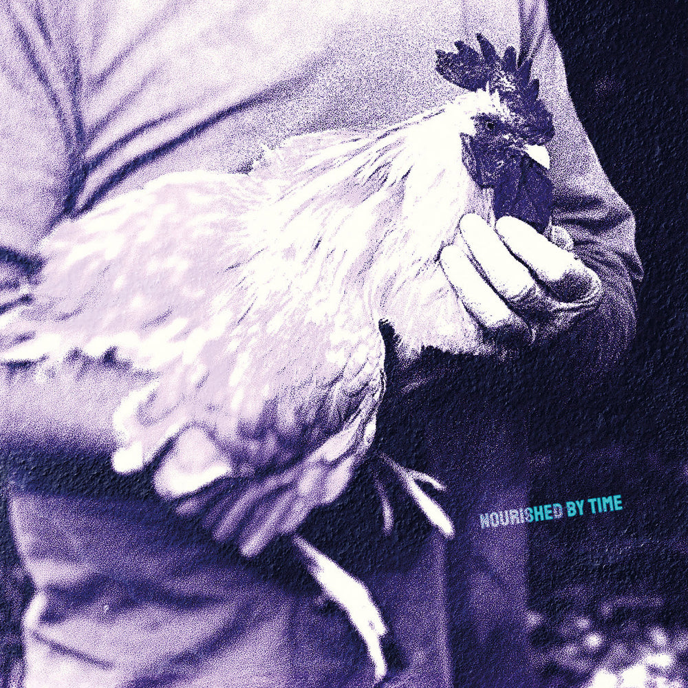 Nourished By Time - Catching Chickens EP | Buy the Vinyl EP from Flying Nun Records