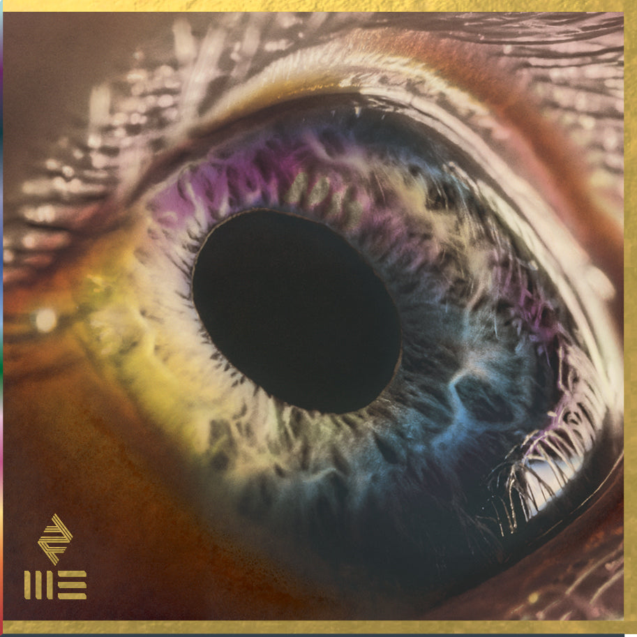 Arcade Fire - WE - Flying Nun | Vinyl | CD