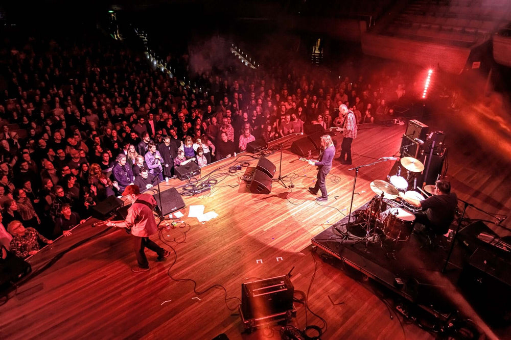 FLYING NUN 40TH PHOTOS WELLINGTON PART ONE - PURPLE PILGRIMS, ALDOUS HARDING, SUPERETTE, THE BATS,