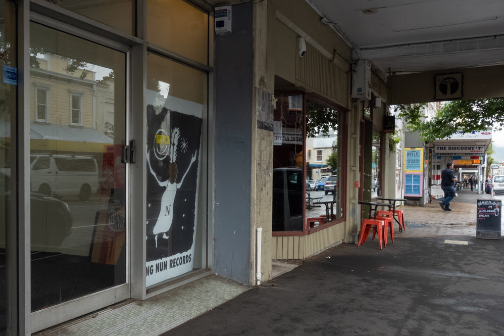 FUZZY MOVES HOUSE - NEW FLYING NUN PREMISES