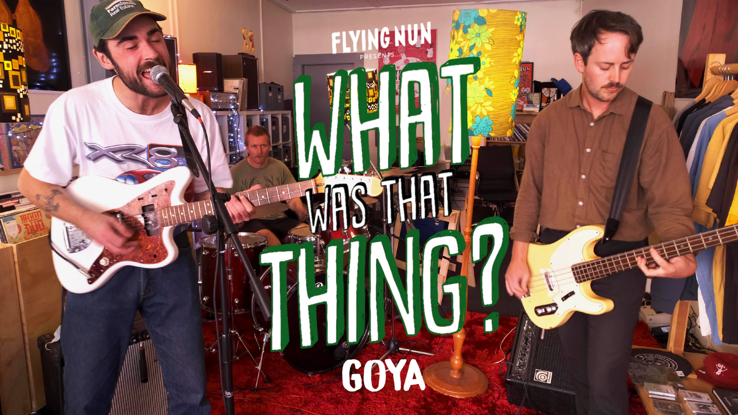 What Was That Thing? Watch Goya perform 'Corflute' Live