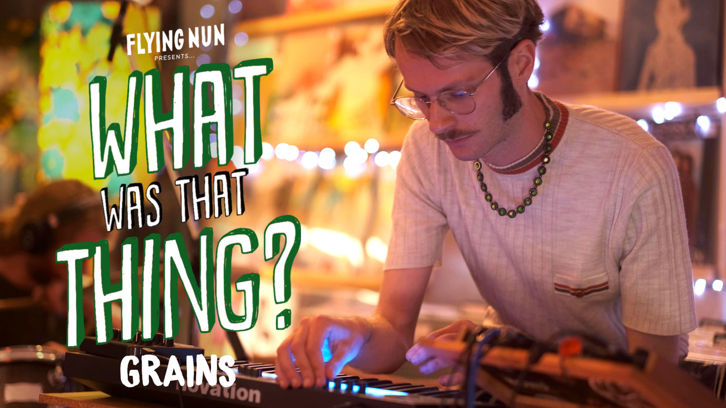 What Was That Thing? Watch Grains Perform Flying Saucer Live