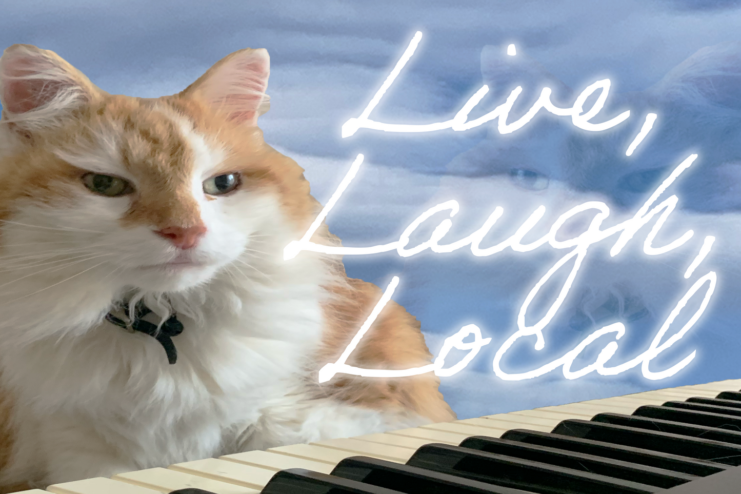 LIVE...LAUGH... LOCAL | THE LOCAL MUSIC RELEASES WE HAVE BEEN LOVING
