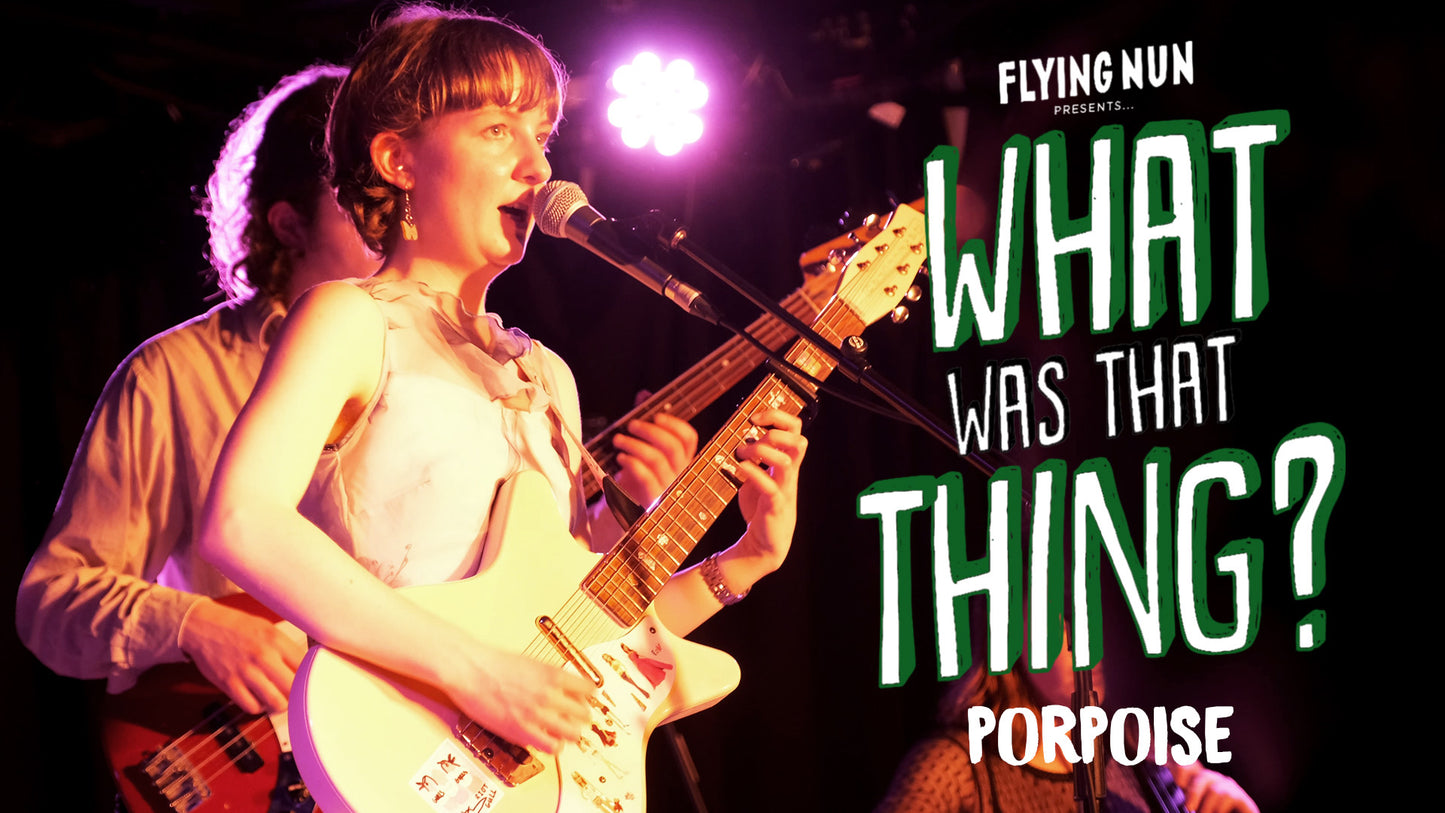 What Was That Thing? Watch Porpoise perform Things I Never Asked Live
