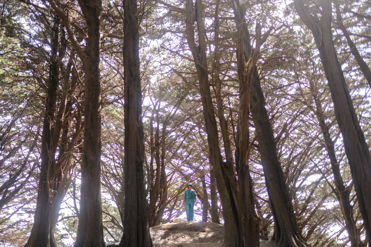 SONYA WATERS RELEASES AMBIENT ALBUM + REMIXES