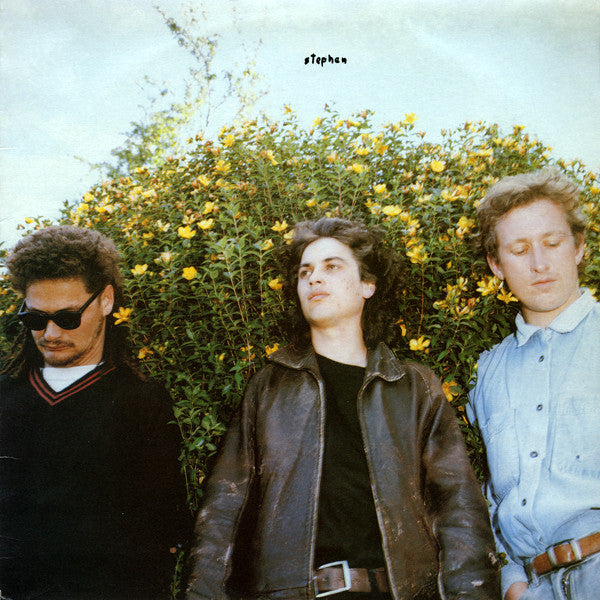 FRESH DIGITAL RELEASE FOR STEPHEN'S RADAR OF SMALL DOGS