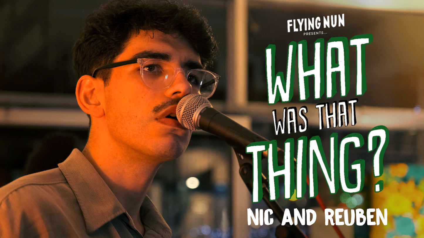 WHAT WAS THAT THING? WATCH NIC AND REUBEN PERFORM BIG WOW LIVE AT FLYING NUN