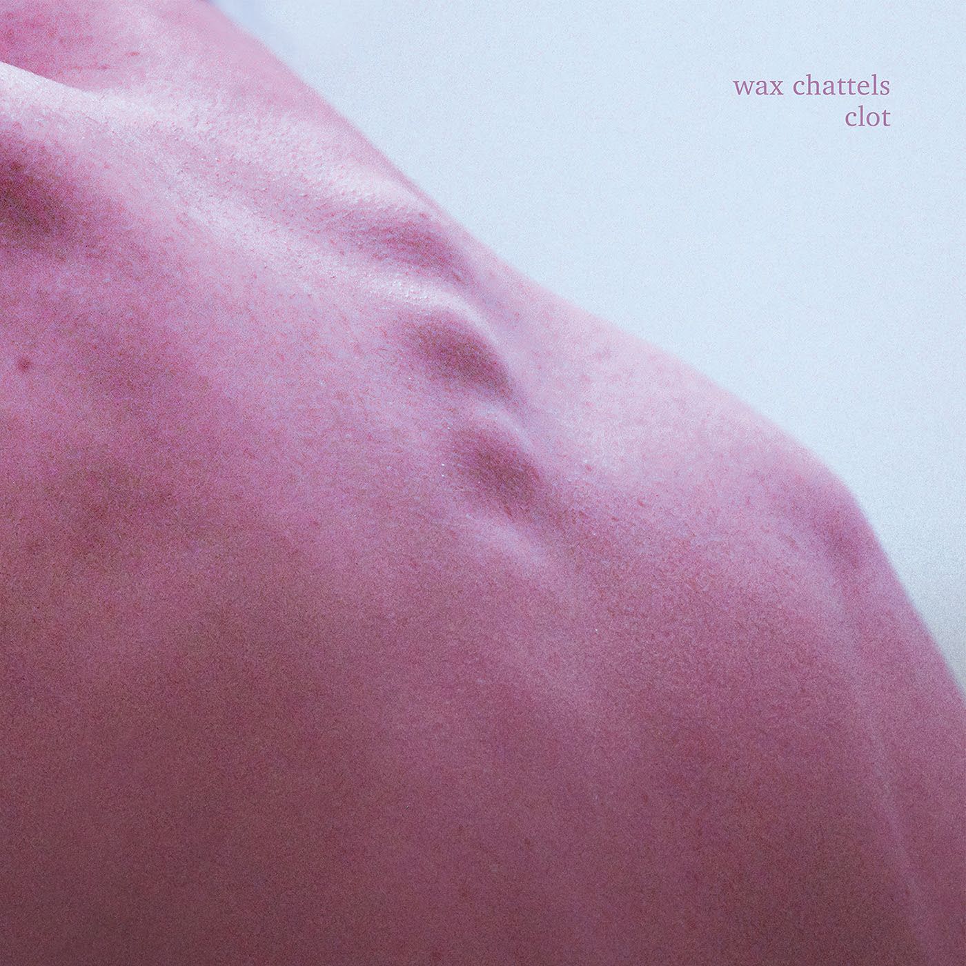 WAX CHATTELS NEW ALBUM SEPTEMBER 2020