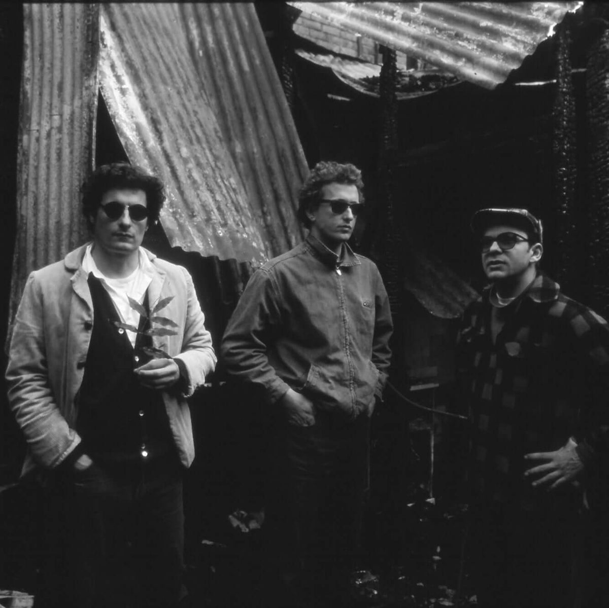 The Clean | New Zealand Band