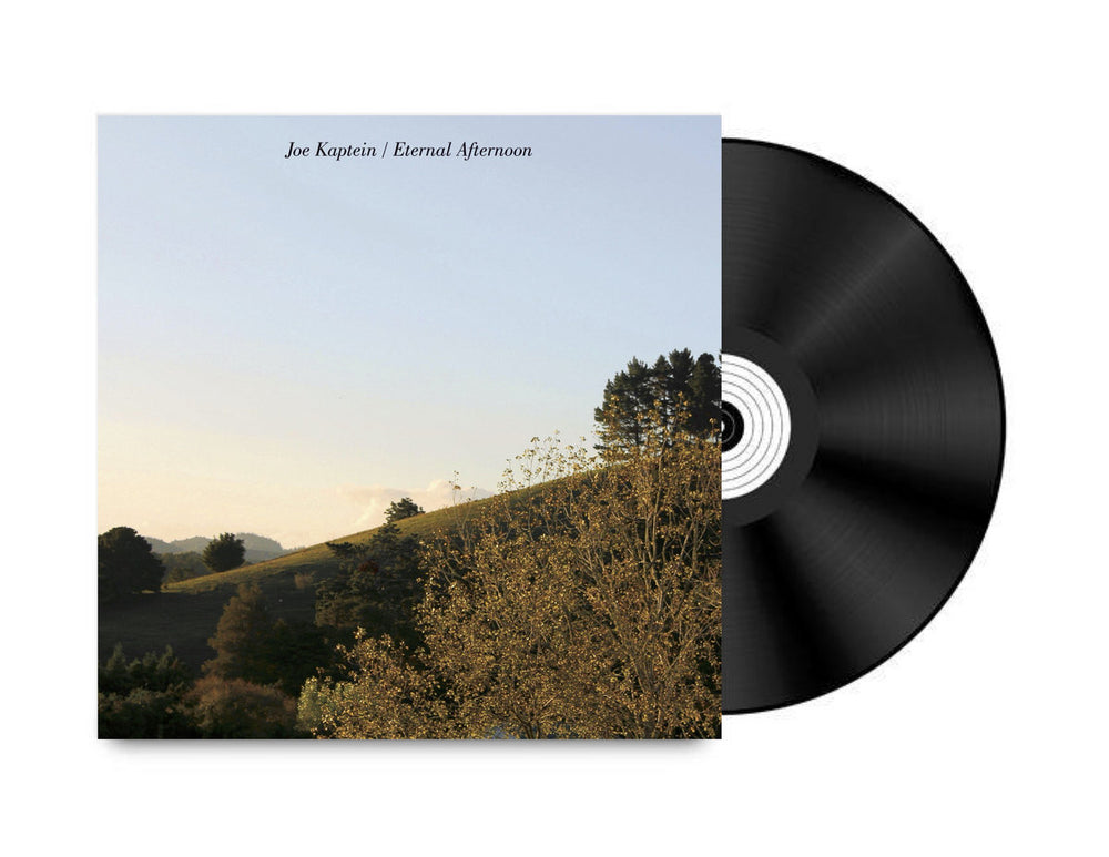 
                  
                    Joe Kaptein - Eternal Afternoon
                  
                