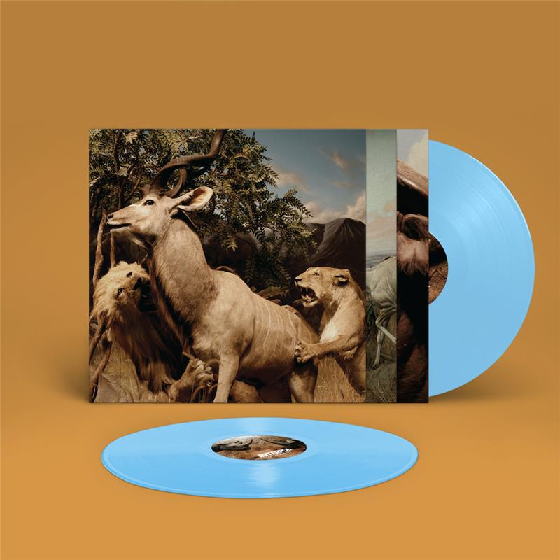 Interpol - Our Love to Admire - Flying Nun  | Vinyl | CD