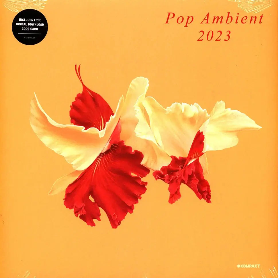 VA – Pop Ambient 2023 - Flying Nun  | Vinyl | CD