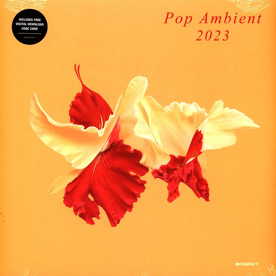 VA – Pop Ambient 2023 | Buy the Vinyl LP from Flying Nun Records