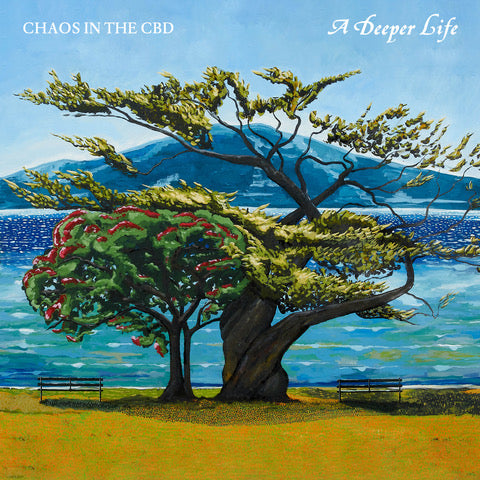 
                  
                    Chaos In The CBD - A Deeper Life (Pre-Order)
                  
                