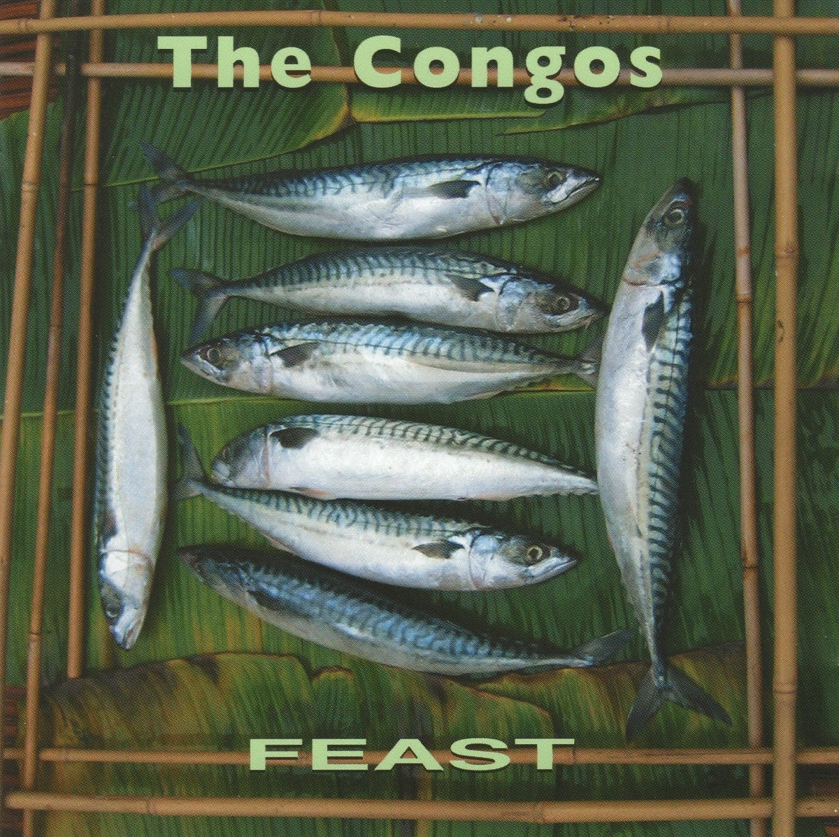 The Congos – Feast | Buy the Vinyl LP from Flying Nun Records
