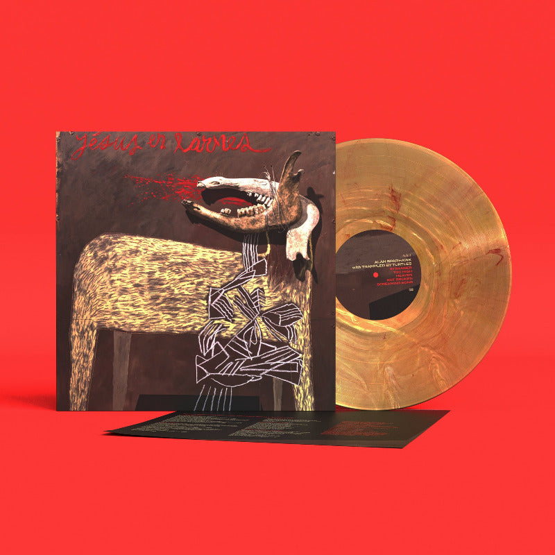 Alan Sparhawk - With Trampled by Turtles | Sunflare Vinyl