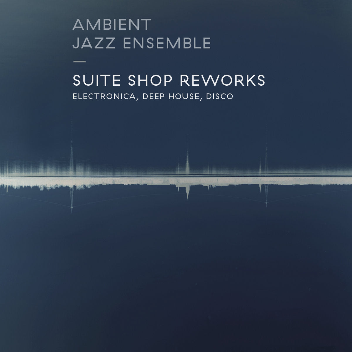 
                  
                    Ambient Jazz Ensemble - Suite Shop Reworks: Electronica, Deep House, Disco | Vinyl LP
                  
                