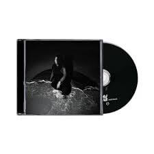 
                  
                    Arooj Aftab - Night Reign - Flying Nun  | Vinyl | CD
                  
                