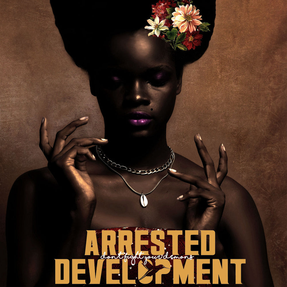 Arrested Development - Don't Fight Your Demons | Vinyl LP