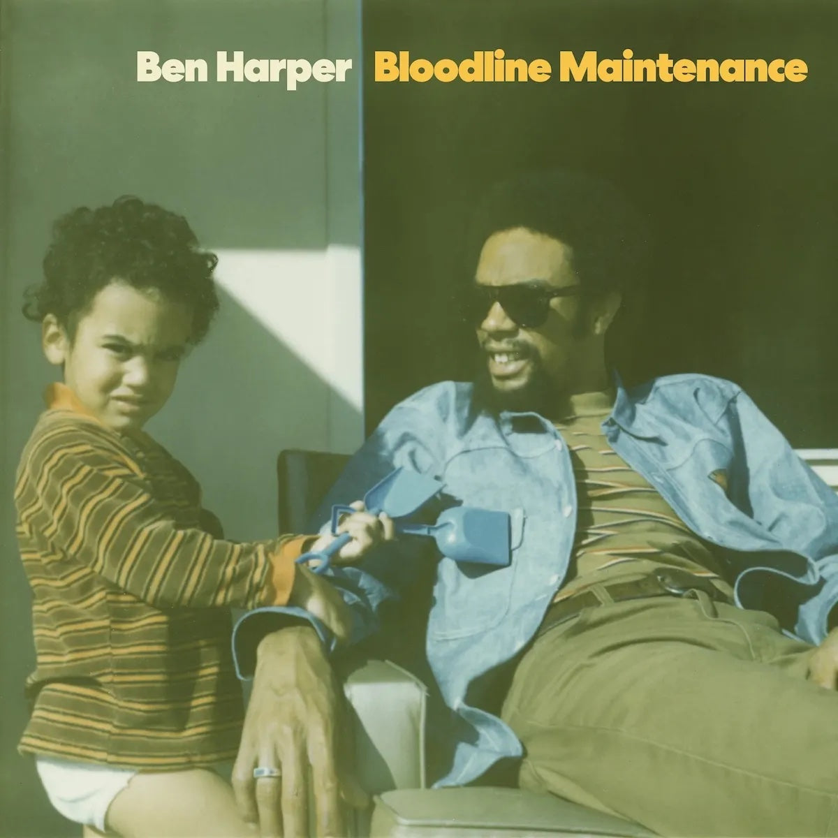 Ben Harper - Bloodline Maintenance | Vinyl LP