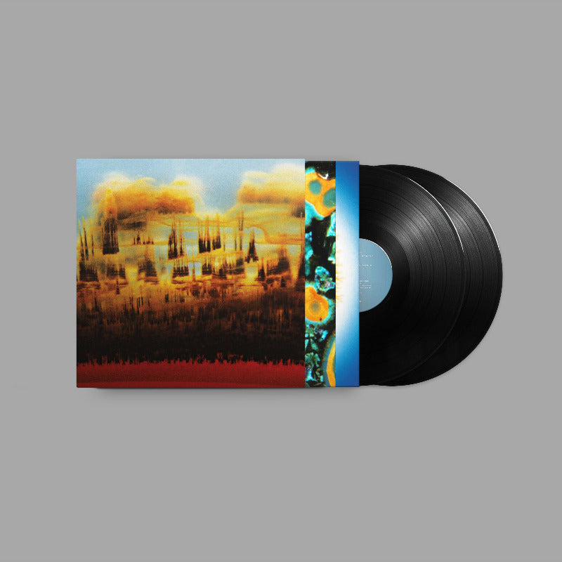 
                  
                    Bonobo - Distance In Static (Black Vinyl)
                  
                