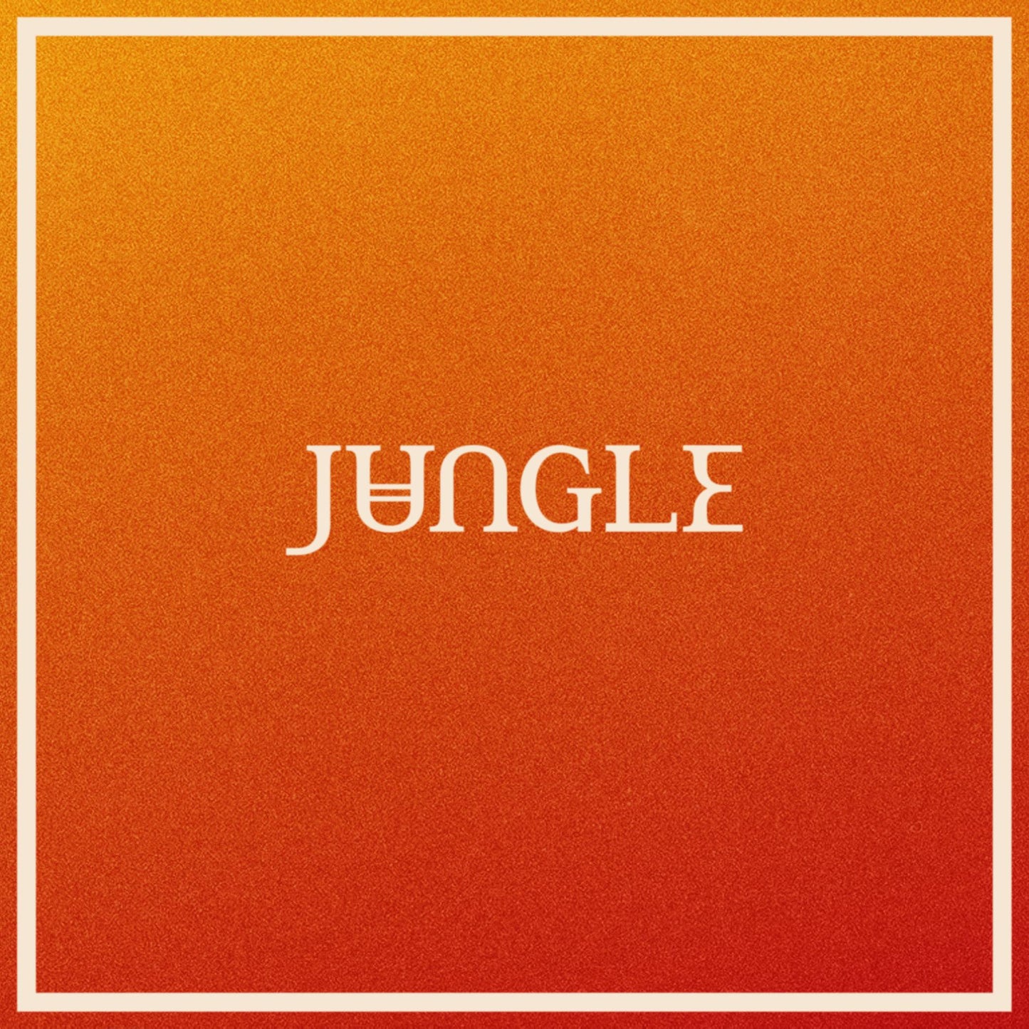 Jungle - Volcano | Buy the Vinyl LP from Flying Nun Records 