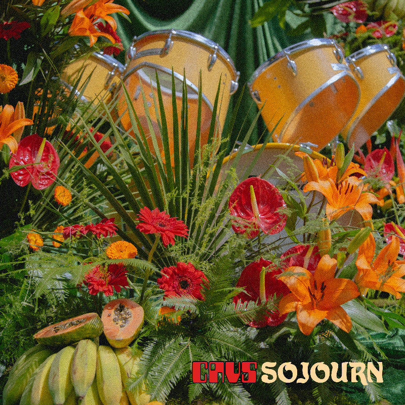 
                  
                    CAVS - Sojourn (Vinyl)
                  
                