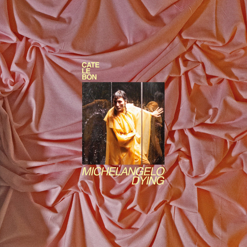 Cate Le Bon - Michelangelo Dying | Vinyl