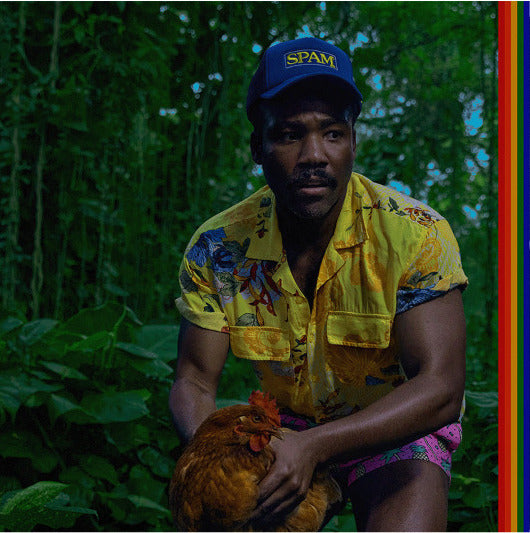 
                  
                    Childish Gambino - Bando Stone and The New World | Vinyl
                  
                