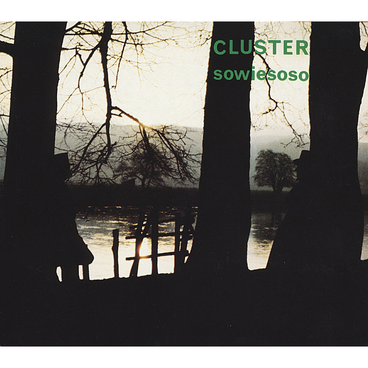Cluster - Sowiesoso LP