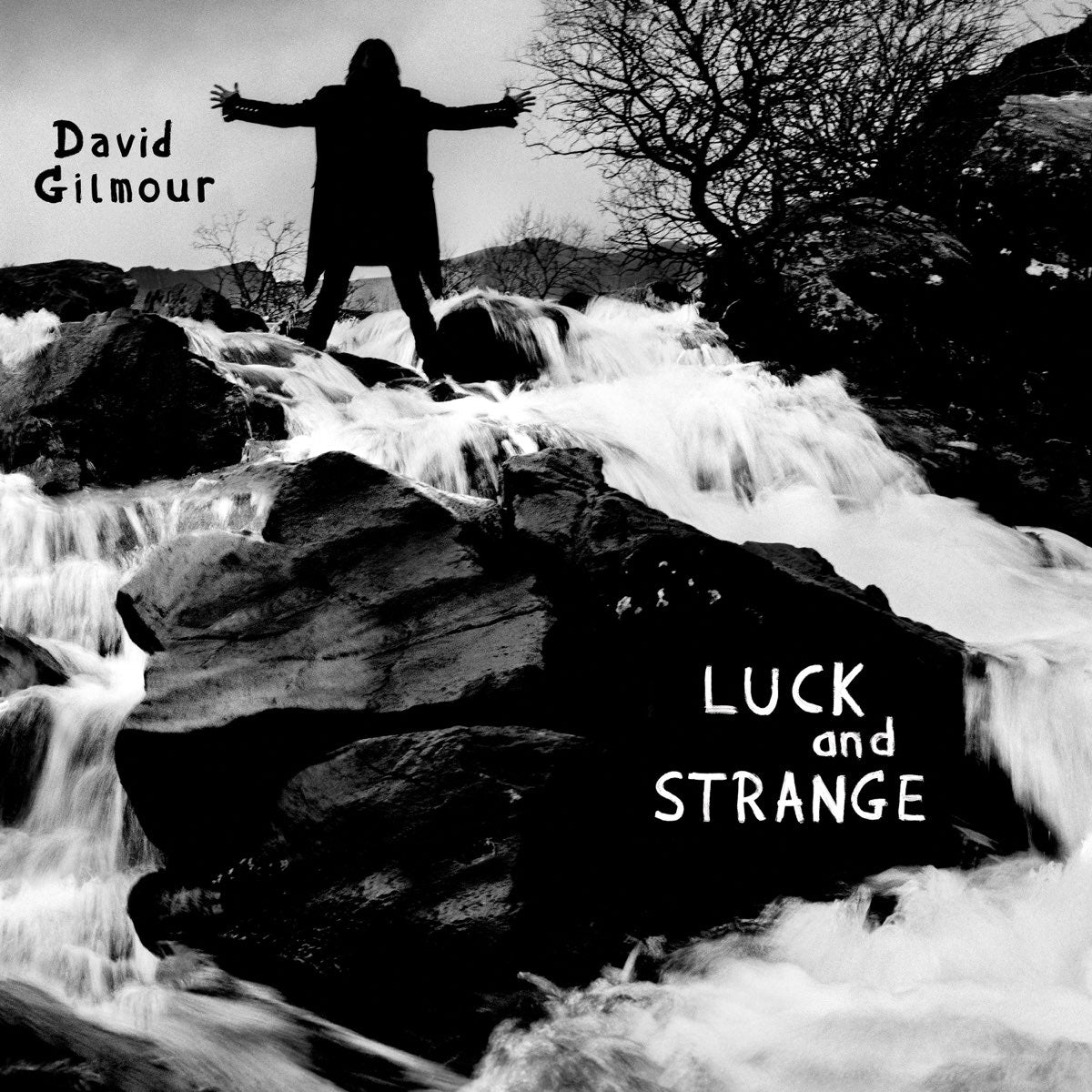 David Gilmour - Luck And Strange | Buy the Vinyl