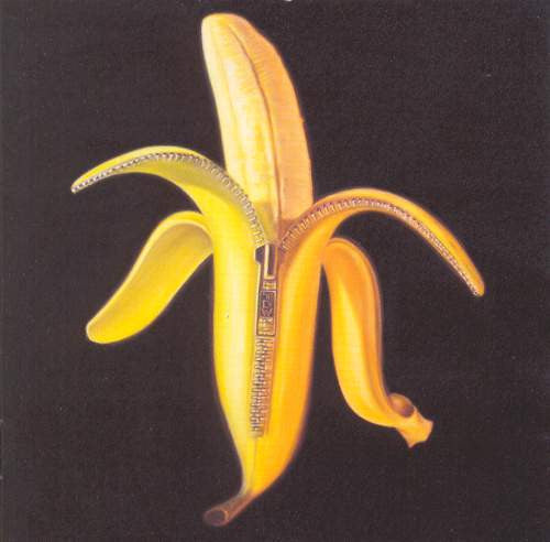 Dandy Warhols - Welcome To The Monkey House (SECONDHAND CD)
