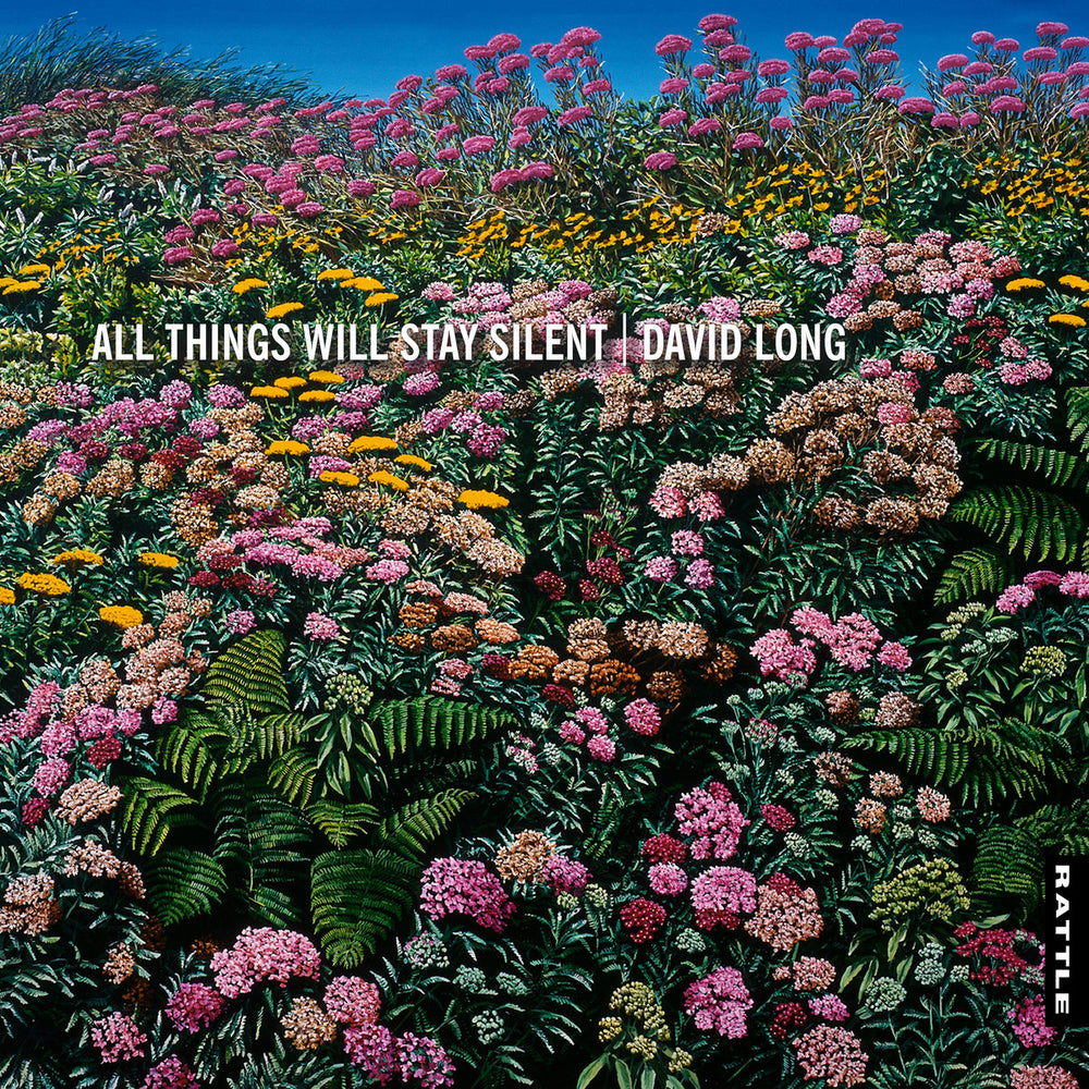 David Long - All Things Will Stay Silent | Vinyl LP
