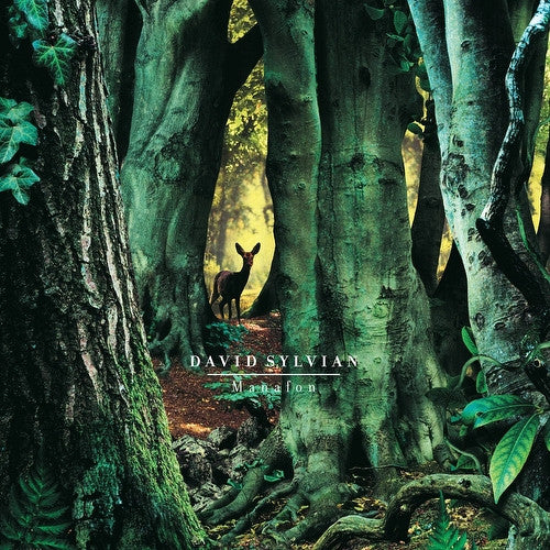 David Sylvian - Manafon (SECONDHAND)