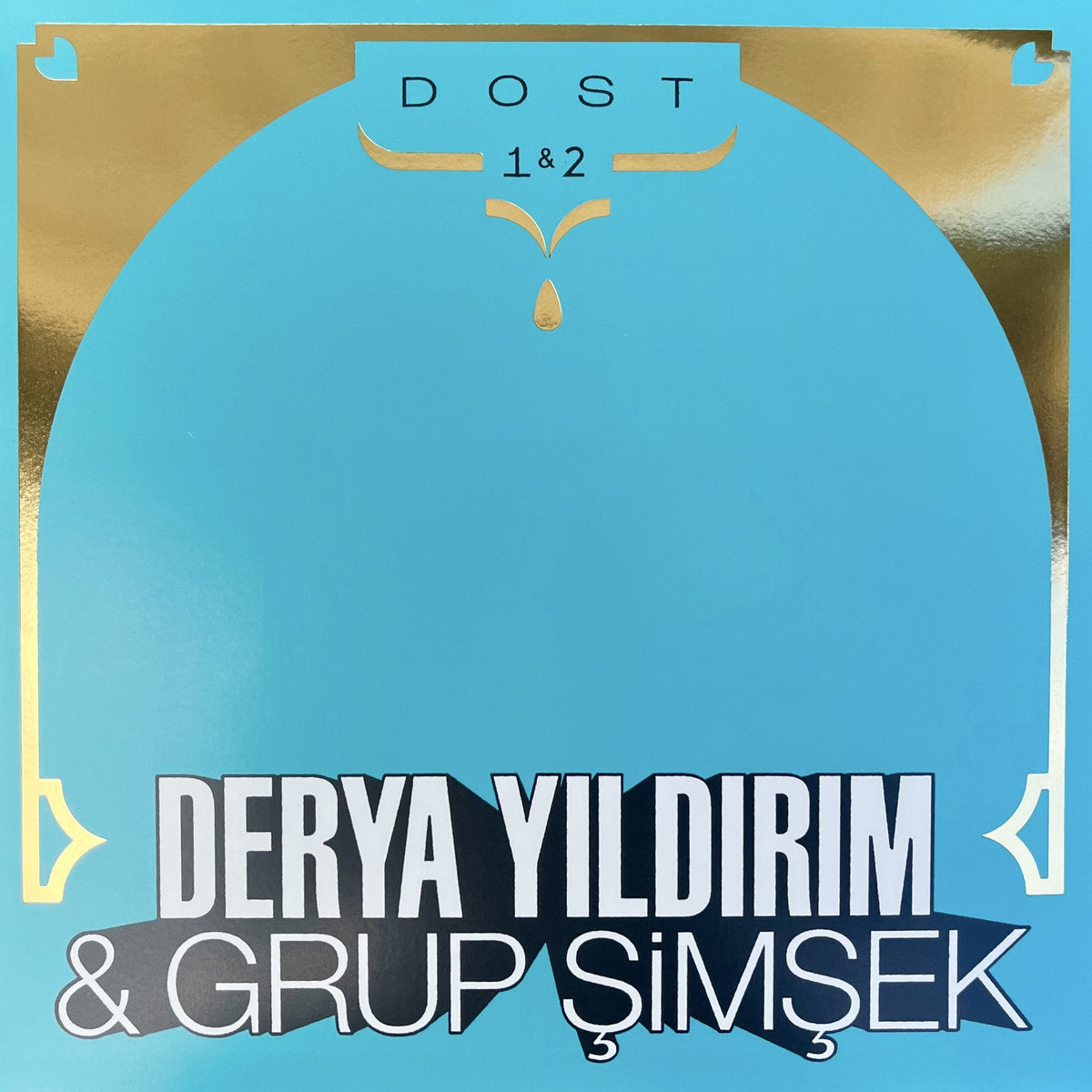 Derya Yıldırım & Grup Şimşek - Dost 1 & 2 (Vinyl)