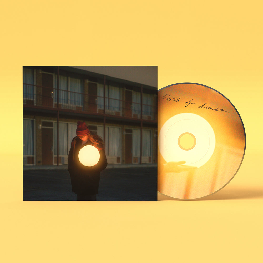 
                  
                    Flock of Dimes - The Life You Save
                  
                