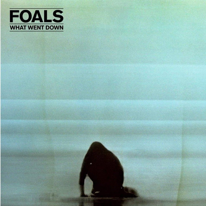 Foals - What Went Down | Vinyl