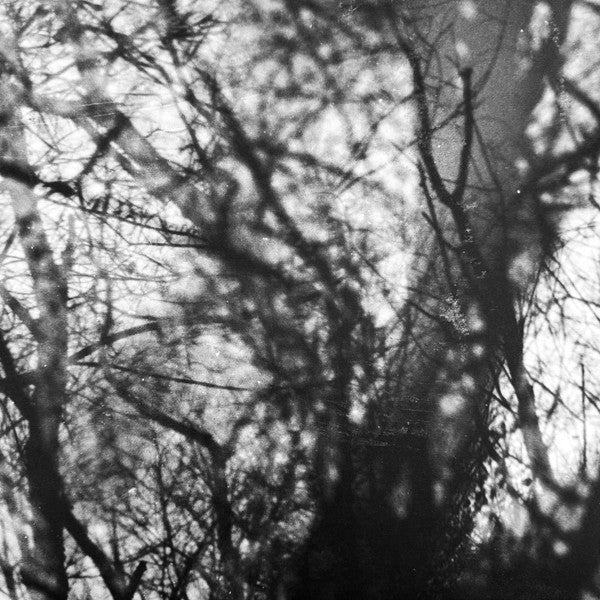 Grouper – Way Their Crept (Vinyl)