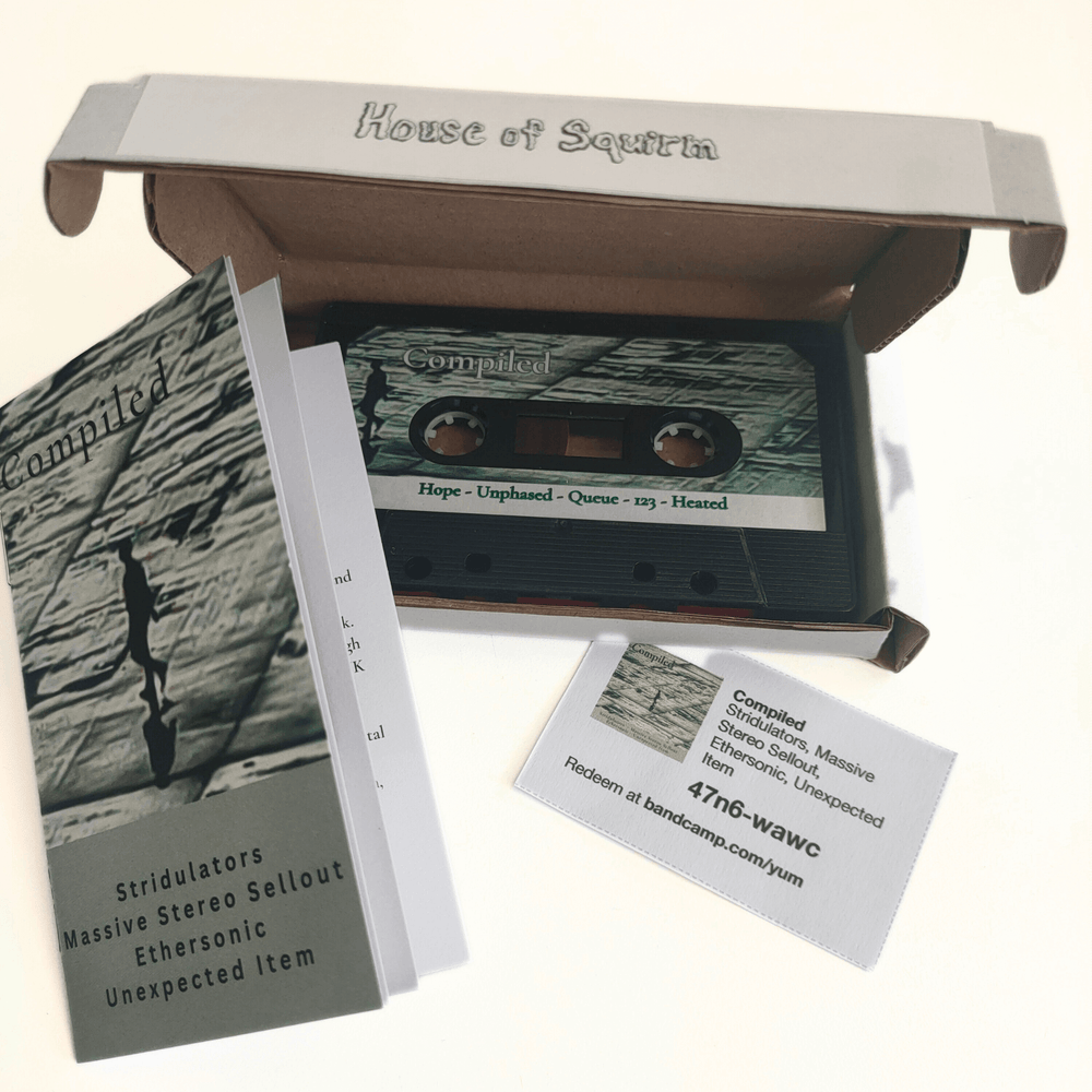 
                  
                    Stridulators - Massive Stereo Sellout, Ethersonic & Unexpected Item - Compiled - Flying Nun  | Vinyl | CD
                  
                