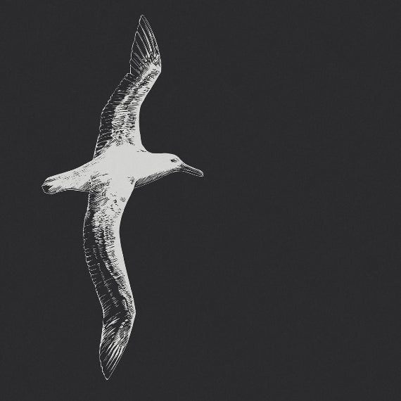 Black and white illustration of a bird in flight on a dark background