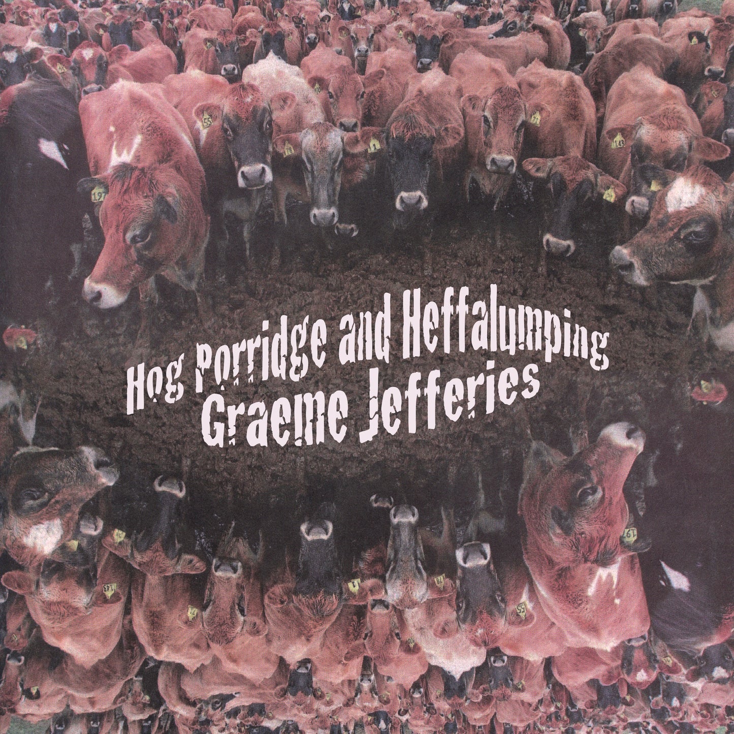 Graeme Jefferies - Hog Porridge and Heffalumping | Buy the Vinyl LP from Flying Nun Records
