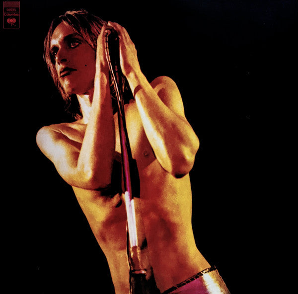 Iggy Pop & The Stooges - Raw Power (SECONDHAND CD)