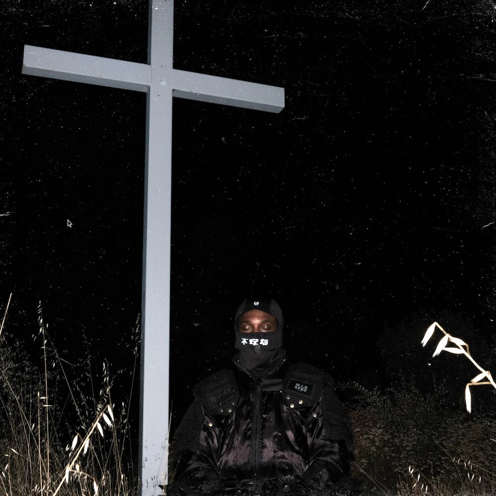 JPEGMAFIA - I Lay Down My Life For You | Vinyl