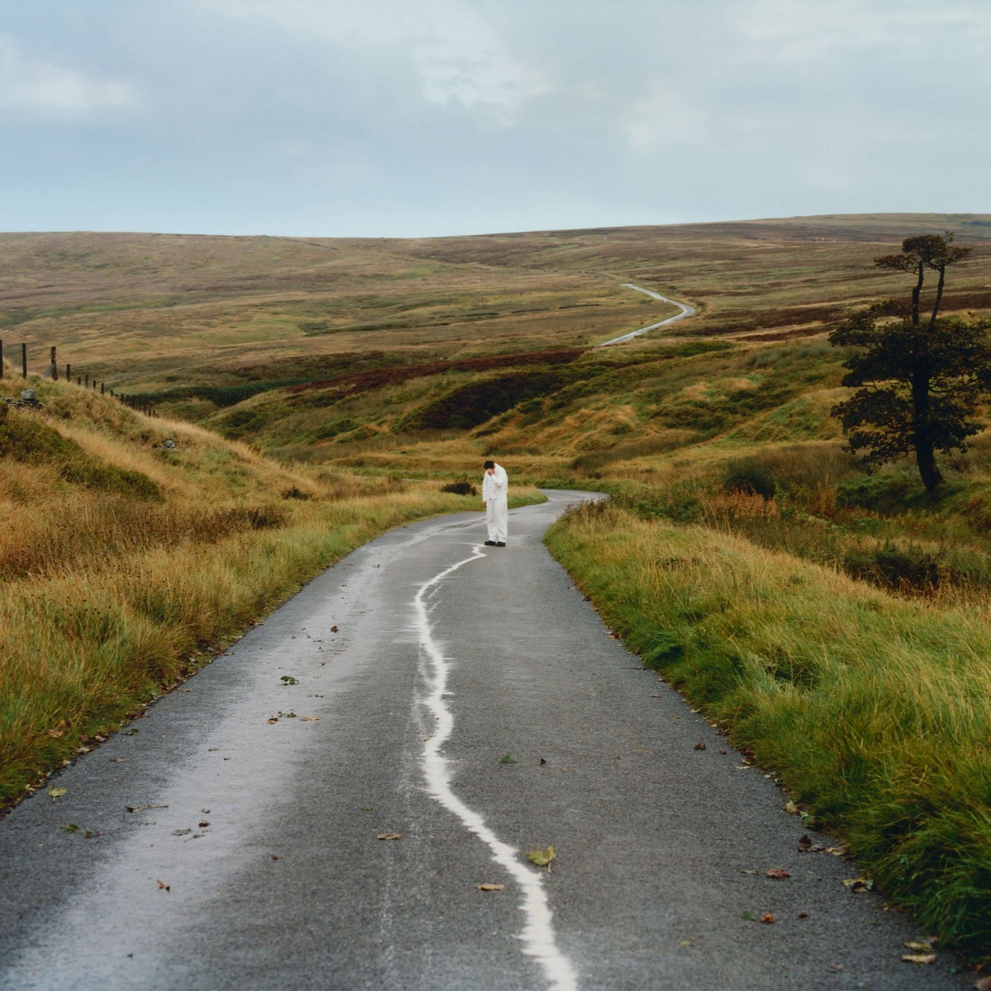 Jordan Rakei - The Loop - Flying Nun  | Vinyl | CD