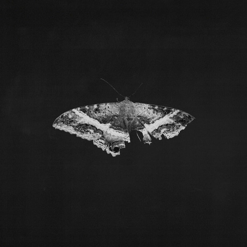 Kendrick Lamar - To Pimp A Butterfly (10th Ann. Edition) | Vinyl