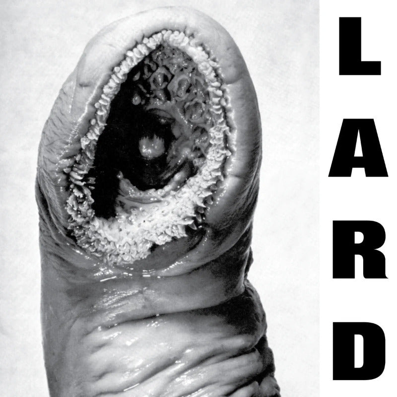 Lard - Power of Lard | Vinyl