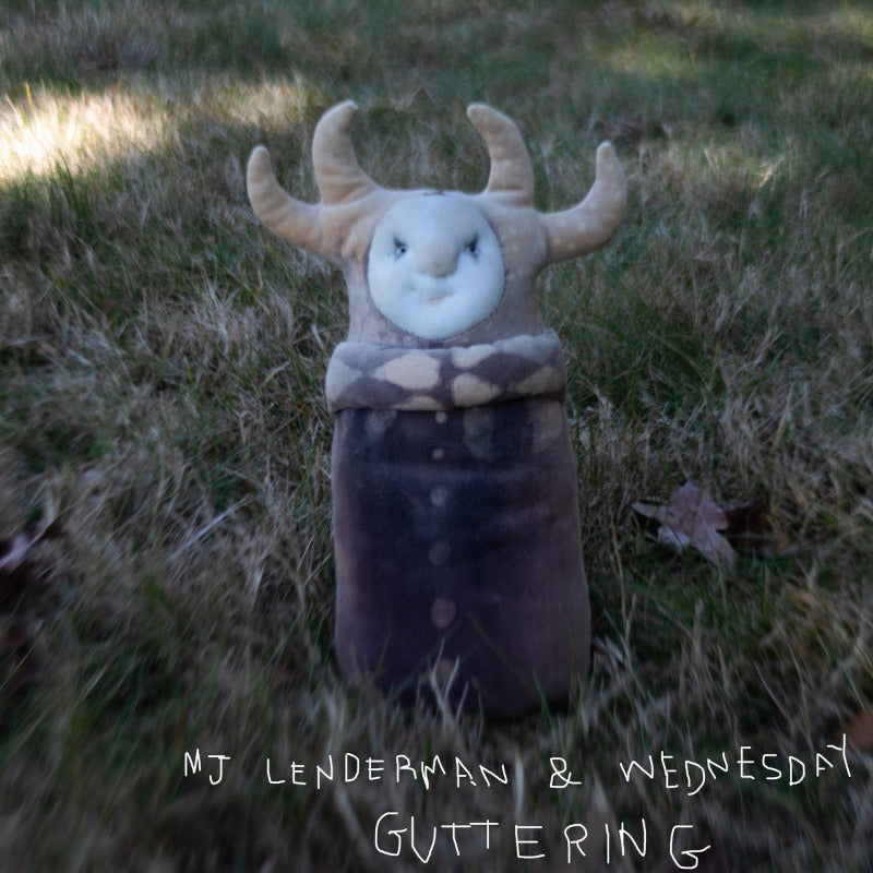 MJ Lenderman & Wednesday - Guttering | Vinyl